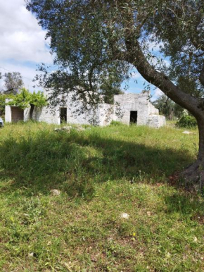 Hacienda Pepe